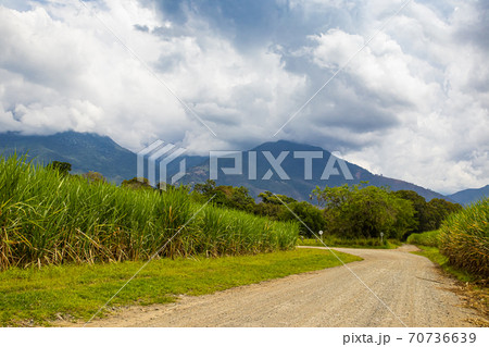 Unpaved rural road, sugar cane field and the Paramo de las Hermosas mountains at the Valle del Cauca region in Colombia 70736639