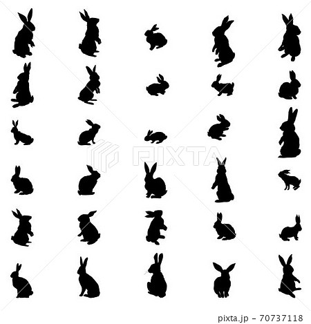 Rabbit And Hare Easter Collection Vector のイラスト素材