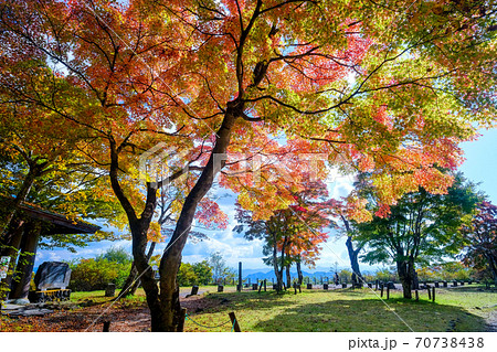 F10号です。碓氷峠で発見した、紅葉。特注額です。 2021年10月