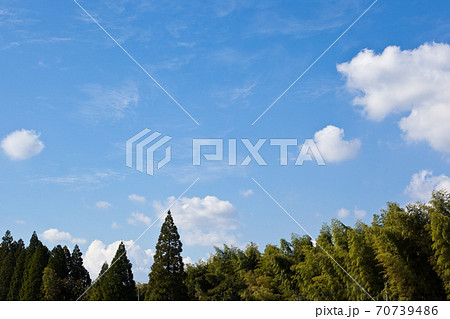 秋の青空を背景に森を見る 70739486