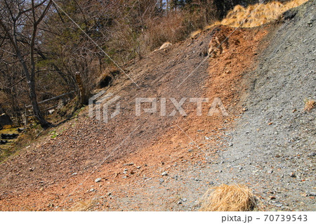 中央構造線北川露頭 中央構造線北川露頭 70739543