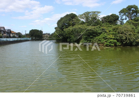 堺市世界遺産いたすけ古墳 70739861