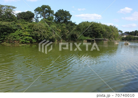 堺市世界遺産いたすけ古墳 70740010