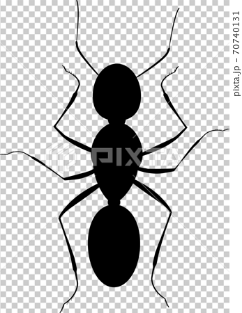 シンプルなアリ 蟻 のイラストのイラスト素材