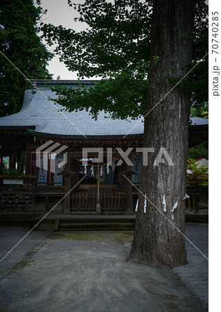 住宅街に静かに佇む神社 住宅街に静かに佇む神社 70740285