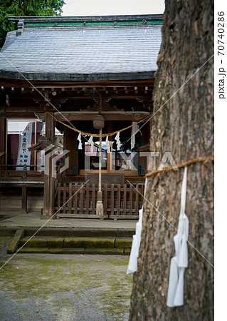 住宅街に静かに佇む神社 住宅街に静かに佇む神社 70740286