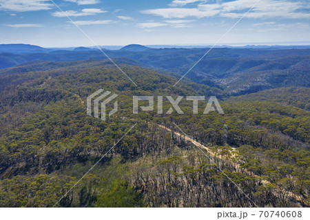 Aerial view of a dirt track running through forest in regional New South Wales in Australia 70740608