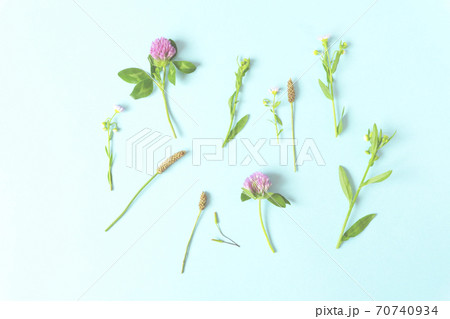 野花と野草の背景素材 野花と野草の背景素材 70740934