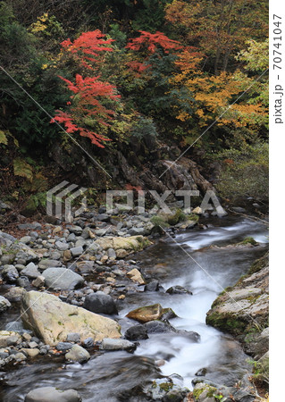 紅葉の照葉峡 70741047