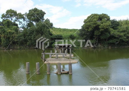 堺市世界遺産いたすけ古墳 70741581