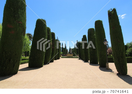 アルカサル、コルドバ、スペイン、庭園 アルカサル、コルドバ、スペイン、庭園 70741641