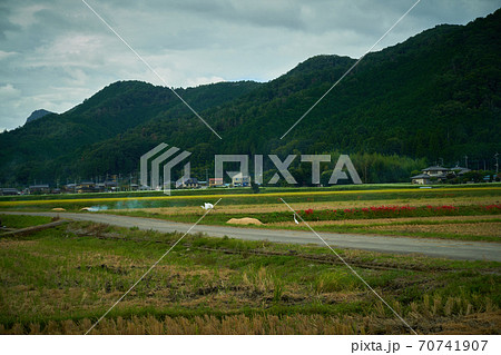 米を収穫した後のもみ殻はくん炭に。 70741907