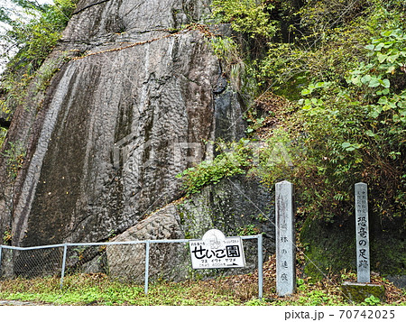 恐竜の足跡「さざ波岩」 恐竜の足跡「さざ波岩」 70742025