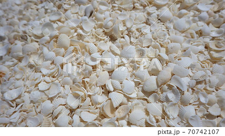 【オーストラリア】シャークベイの世界遺産エリア、シェルビーチの貝殻 70742107