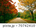 秋 落葉 紅葉 70742410