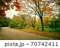 秋 落葉 紅葉 70742411