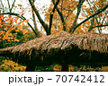 秋 紅葉 自然 70742412