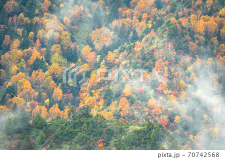 長野県 霧の志賀高原 紅葉の横手山の写真素材