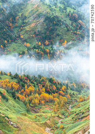 長野県 霧の志賀高原 紅葉の横手山の写真素材
