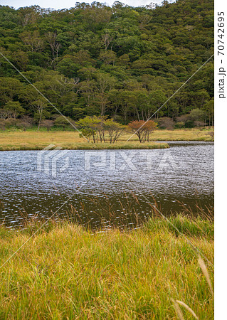 県立赤城公園　覚満淵遊歩道　木道からの景観　初秋の風景 70742695