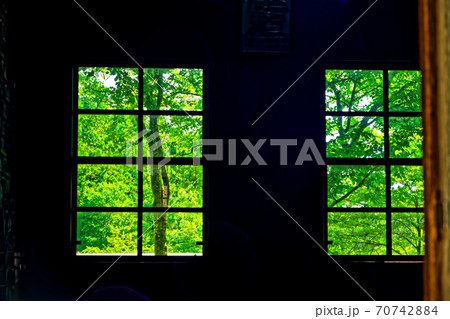 緑のある窓辺 70742884