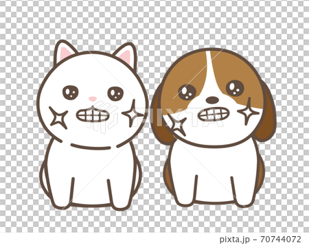 Cat and dog with brushed teeth white background Cat and dog with brushed teeth white background 70744072