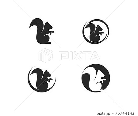 Squirrel Icon Squirrel Logo Template Vector Stock Vector (Royalty Free)  649156783 | Shutterstock