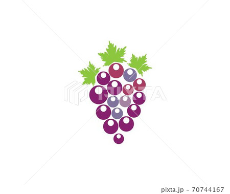 Grape with leaf icon 70744167