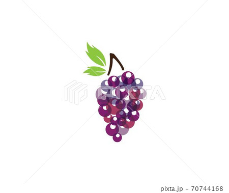 Grape with leaf icon Grape with leaf icon 70744168