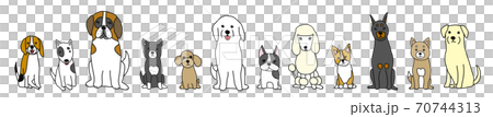 12種類の犬 70744313