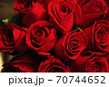 Close up photo of a dozen of red roses. 70744652