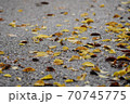 秋 70745775