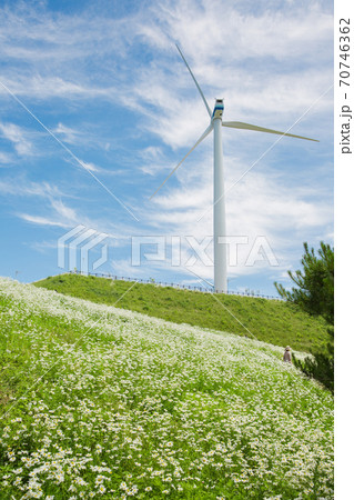 Beautiful mountain landscape, blue sky over hillside meadow 027 Beautiful mountain landscape, blue sky over hillside meadow 027 70746362