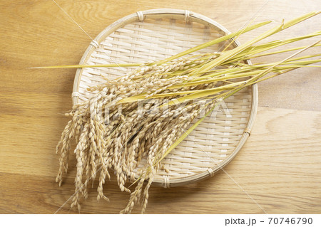 収穫したての米 70746790