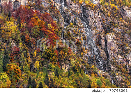 Bright colors of autumn season Bright colors of autumn season 70748061