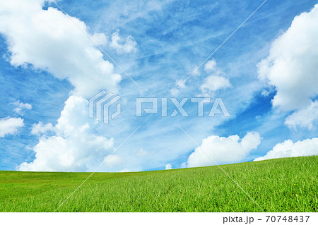 夏の青空と綺麗な草原風景の写真素材