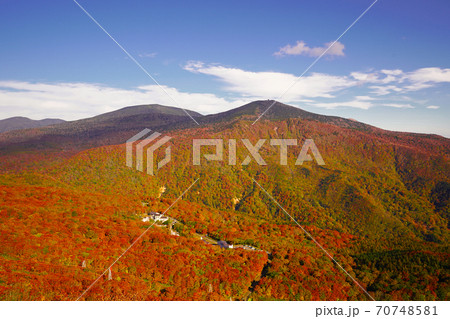 紅葉の野地温泉　俯瞰 70748581