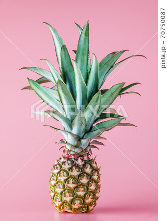 Pineapple fruit isolated on pink background. Pineapple fruit isolated on pink background. 70750087