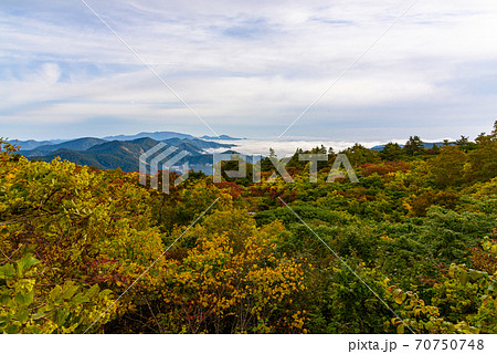 栗駒山の紅葉と雲海 70750748