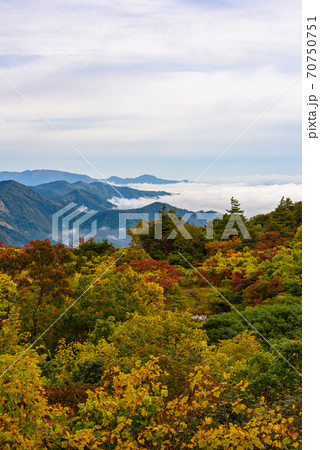 栗駒山の紅葉と雲海 70750751