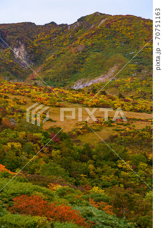 栗駒山名残ヶ原の紅葉 70751163