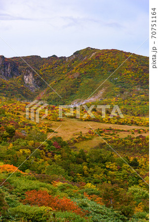 栗駒山名残ヶ原の紅葉 70751164
