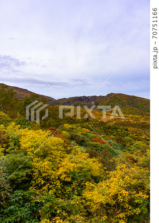 栗駒山名残ヶ原の紅葉 70751166