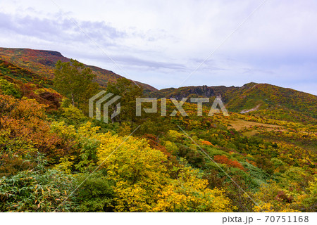 栗駒山名残ヶ原の紅葉 70751168