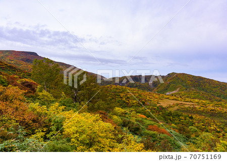 栗駒山名残ヶ原の紅葉 70751169