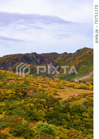 栗駒山名残ヶ原の紅葉 70751170