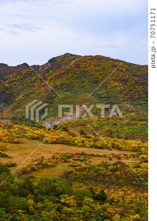 栗駒山名残ヶ原の紅葉 70751171