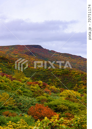 栗駒山名残ヶ原の紅葉 70751174