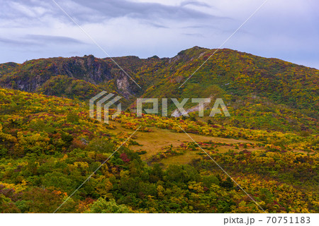 栗駒山名残ヶ原の紅葉 70751183