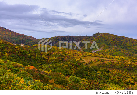 栗駒山名残ヶ原の紅葉 70751185